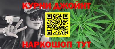 гидра Гай