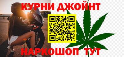 гидра Гай