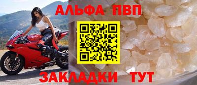 гидра Гай